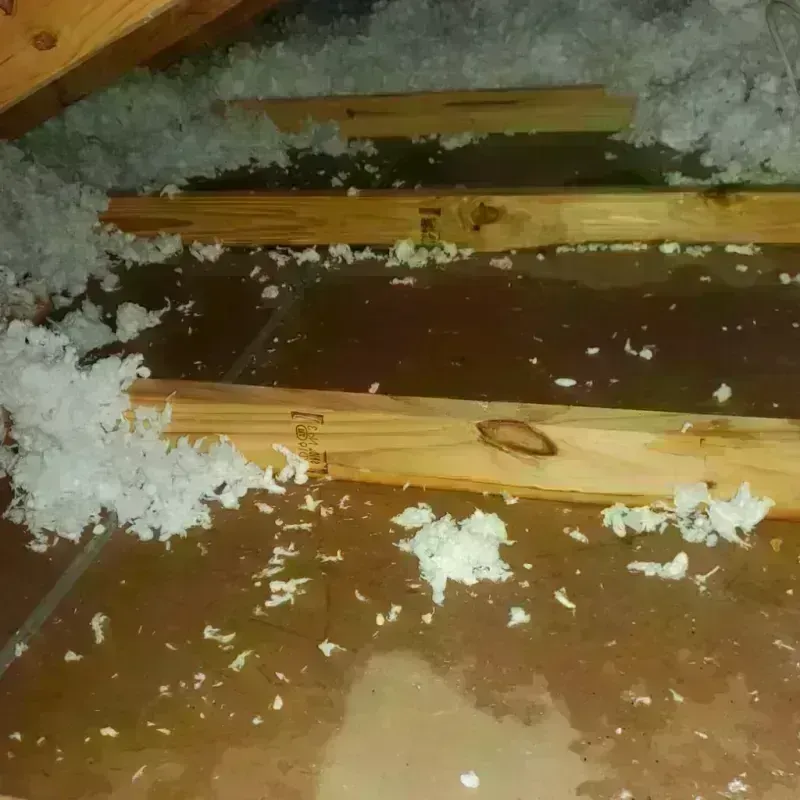 Attic Water Damage in Waverly, MI