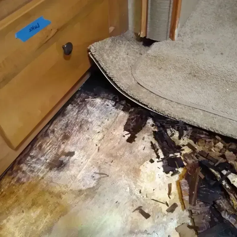 Best Wood Floor Water Damage Service in Waverly, MI